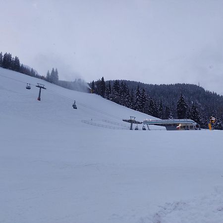 Blosegghof Bergchalets Waldblick 拉辛 外观 照片