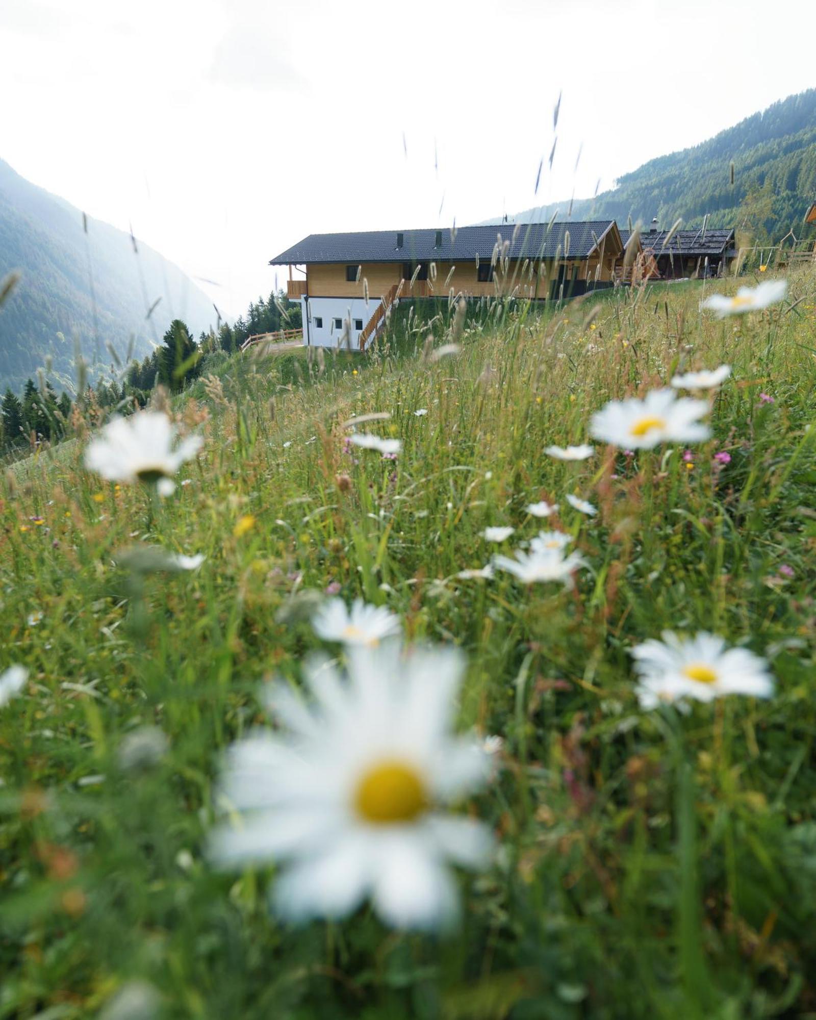 Blosegghof Bergchalets Waldblick 拉辛 外观 照片